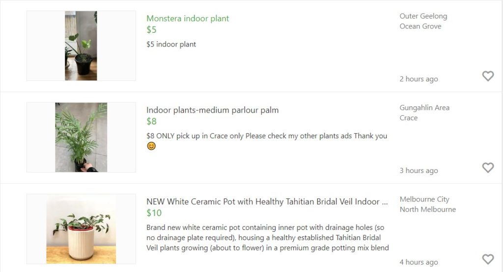 Example of cheap online plants found using Gumtree 