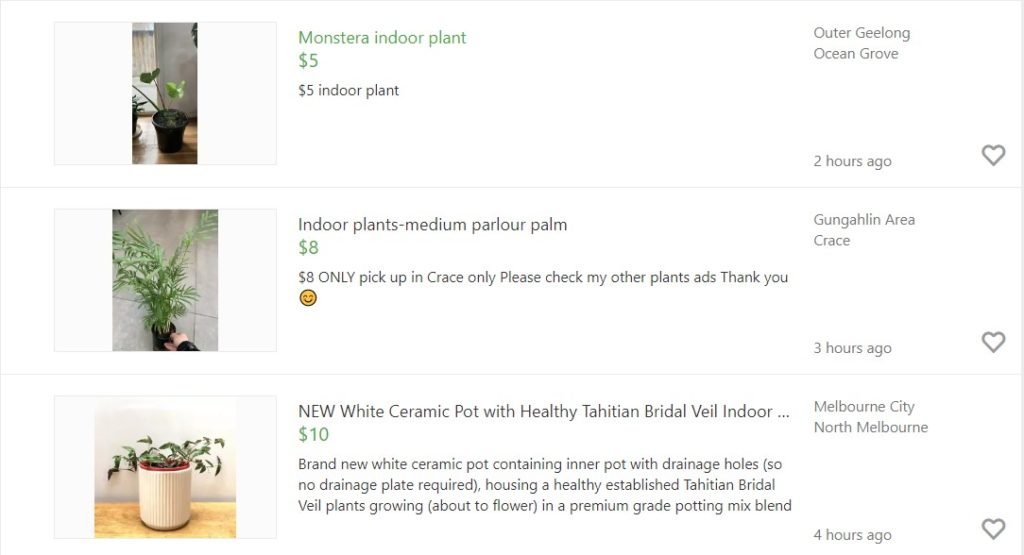 Cheap indoor house plants online