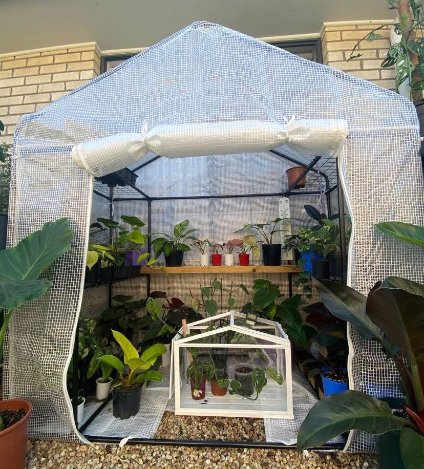 Greenhouses to keep plants warm during winter.