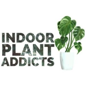 Indoor Plant Addicts | The Home of Indoor Plant Care