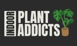 Indoor Plant Addicts Logo